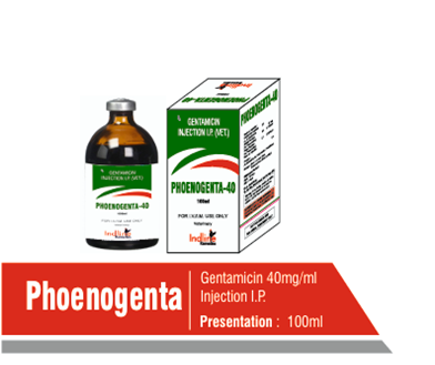 product-phoenogenta